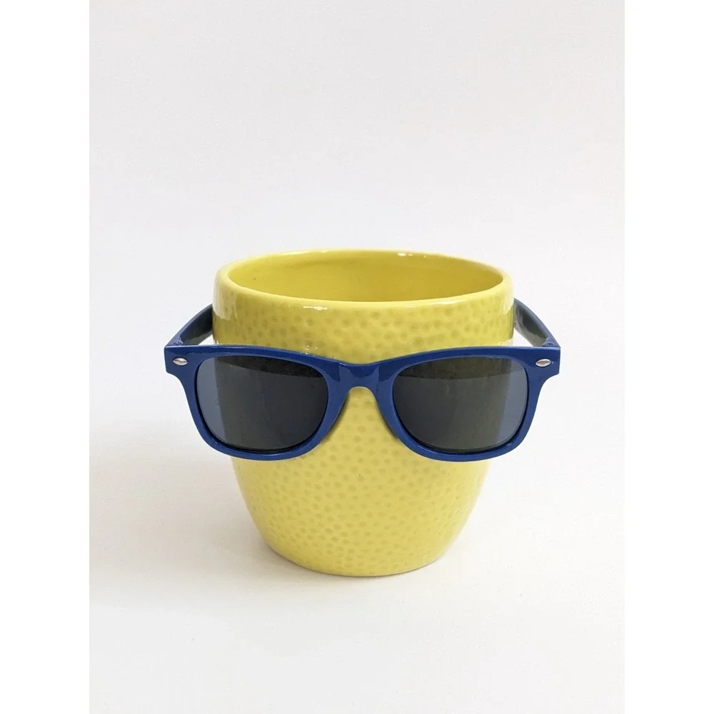 Trader Joes Cool Fruit Ceramic Novelty Planter Lime Sunglasses PLANT NOT INCLUD